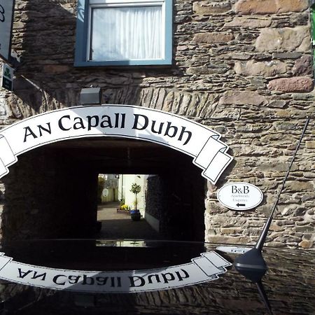 Dingle Centre Townhouse An Capall Dubh Dingle Extérieur photo