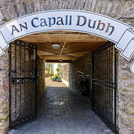 Dingle Centre Townhouse An Capall Dubh Dingle Extérieur photo