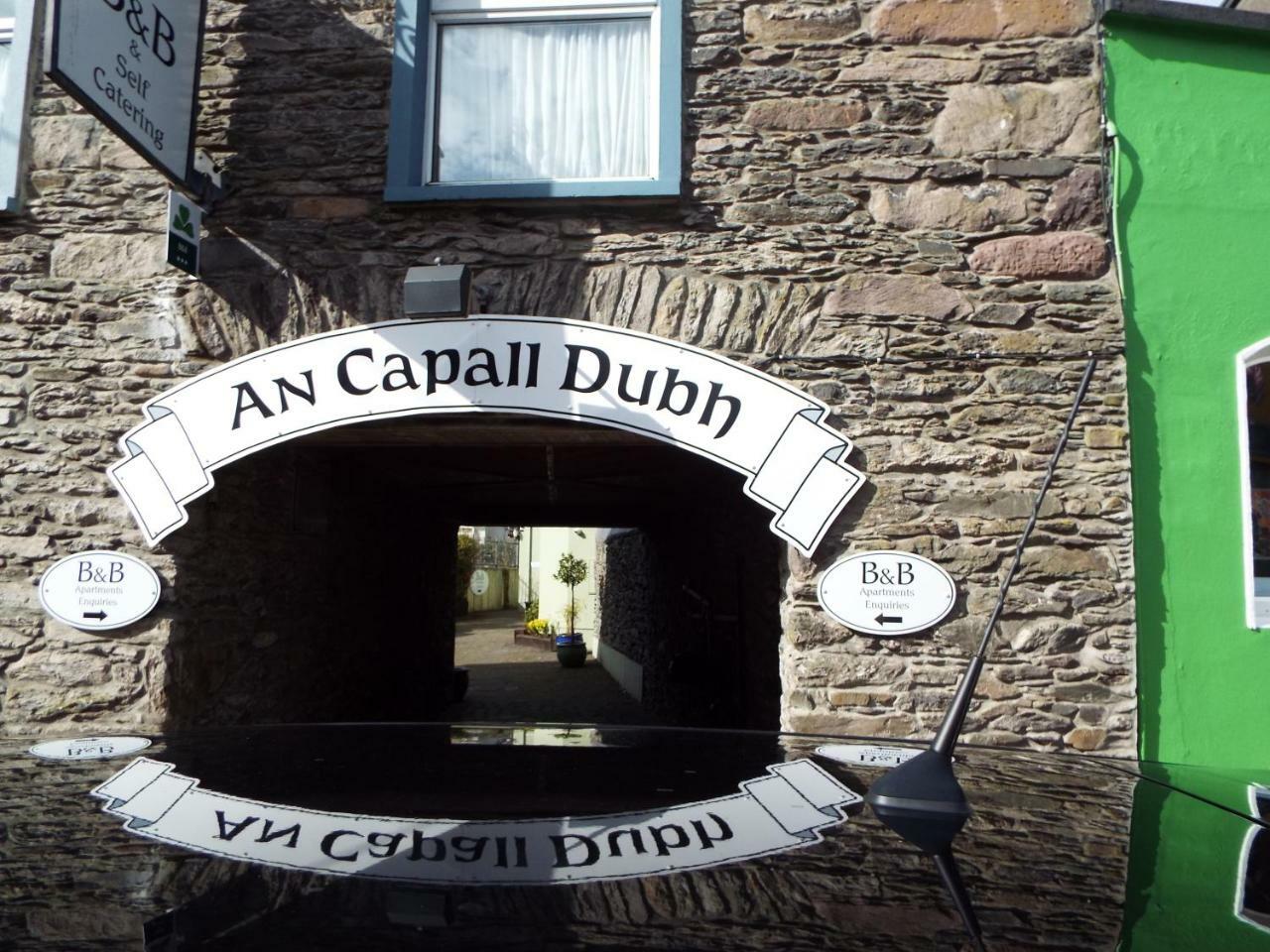 Dingle Centre Townhouse An Capall Dubh Dingle Extérieur photo