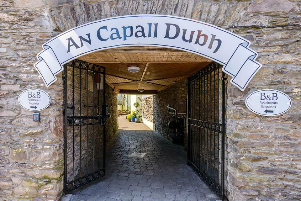 Dingle Centre Townhouse An Capall Dubh Dingle Extérieur photo