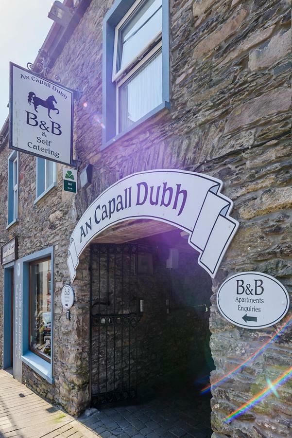 Dingle Centre Townhouse An Capall Dubh Dingle Extérieur photo